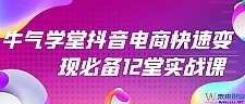 牛气学堂抖音电商快速变现必备12堂实战课